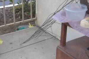 Landscaping Drip System Irrigation Install - Landscaping