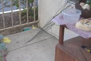 Landscaping Drip System Irrigation Install - Landscaping