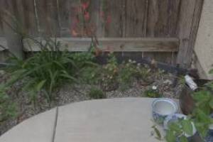 Landscaping Drip System Irrigation Install - Landscaping