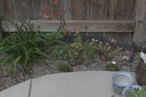 Landscaping Drip System Irrigation Install - Landscaping