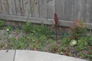 Landscaping Drip System Irrigation Install - Landscaping