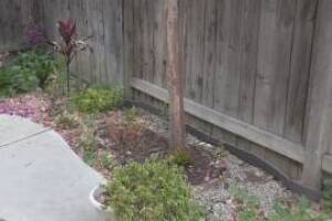 Landscaping Drip System Irrigation Install - Landscaping