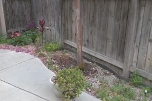 Landscaping Drip System Irrigation Install - Landscaping