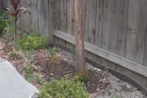 Landscaping Drip System Irrigation Install - Landscaping