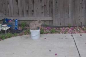 Landscaping Drip System Irrigation Install - Landscaping
