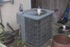 Landscaping Drip System Irrigation Install - Landscaping