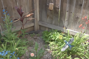 Landscaping Drip System Irrigation Install - Landscaping