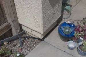 Landscaping Drip System Irrigation Install - Landscaping