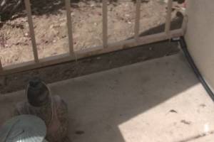 Landscaping Drip System Irrigation Install - Landscaping