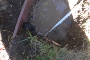 Landscaping Drip System Leak Repair - Landscaping