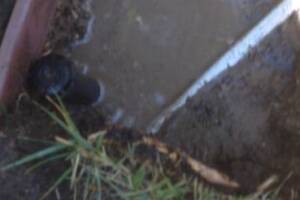 Landscaping Drip System Leak Repair - Landscaping