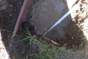 Landscaping Drip System Leak Repair - Landscaping