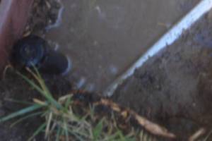 Landscaping Drip System Leak Repair - Landscaping