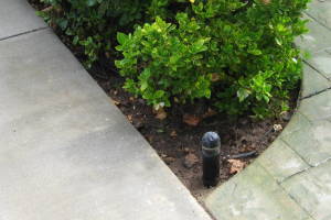 Landscaping Drip System Leak Repair - Landscaping