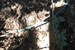 Landscaping Drip System Leak Repair - Landscaping