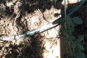 Landscaping Drip System Leak Repair - Landscaping