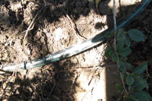 Landscaping Drip System Leak Repair - Landscaping