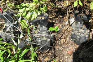 Landscaping Drip System Leak Repair - Landscaping