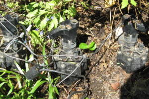 Landscaping Drip System Leak Repair - Landscaping