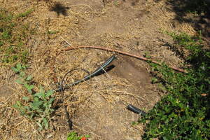 Landscaping Drip System Leak Repair - Landscaping