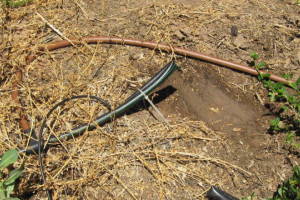 Landscaping Drip System Leak Repair - Landscaping