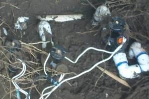 Landscaping Drip System Underground Repairs - Landscaping