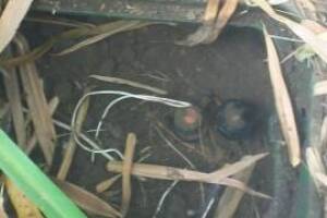 Landscaping Drip System Underground Repairs - Landscaping