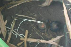 Landscaping Drip System Underground Repairs - Landscaping