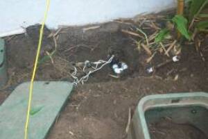 Landscaping Drip System Underground Repairs - Landscaping