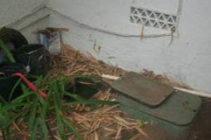 Landscaping Drip System Underground Repairs - Landscaping