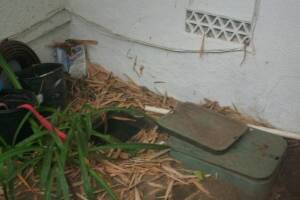 Landscaping Drip System Underground Repairs - Landscaping