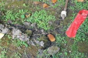 Landscaping Drip System Underground Repairs - Landscaping