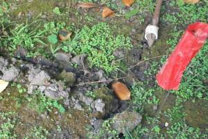 Landscaping Drip System Underground Repairs - Landscaping