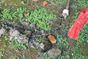 Landscaping Drip System Underground Repairs - Landscaping
