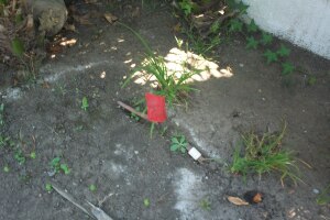 Landscaping Drip System Underground Repairs - Landscaping