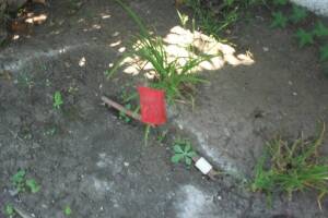 Landscaping Drip System Underground Repairs - Landscaping