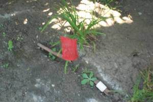 Landscaping Drip System Underground Repairs - Landscaping
