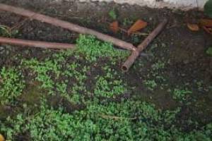 Landscaping Drip System Underground Repairs - Landscaping