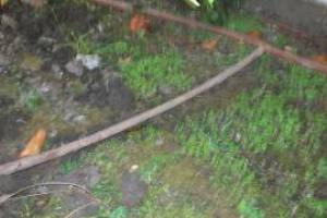 Landscaping Drip System Underground Repairs - Landscaping