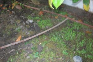 Landscaping Drip System Underground Repairs - Landscaping