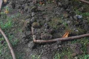 Landscaping Drip System Underground Repairs - Landscaping