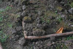 Landscaping Drip System Underground Repairs - Landscaping