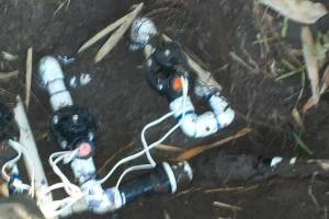 Landscaping Drip System Underground Repairs - Landscaping