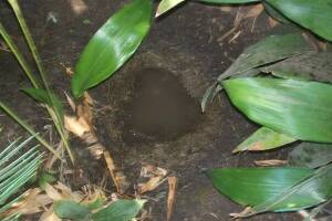 Landscaping Drip System Underground Repairs - Landscaping
