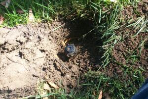 Landscaping Drip System Underground Repairs - Landscaping
