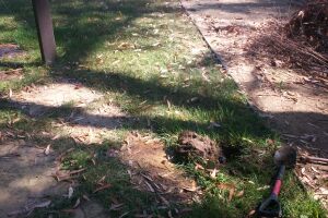 Landscaping Drip System Underground Repairs - Landscaping