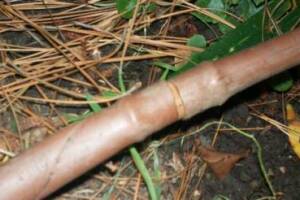 Landscaping Drip System Underground Repairs - Landscaping