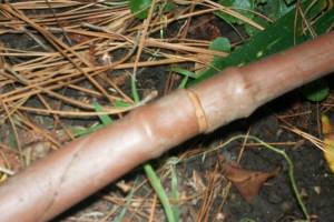 Landscaping Drip System Underground Repairs - Landscaping
