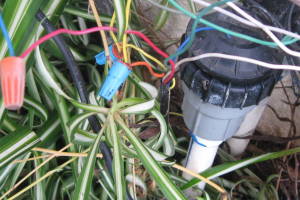 Landscaping Drip System Wiring Repairs - Landscaping