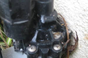 Landscaping Drip System Wiring Repairs - Landscaping